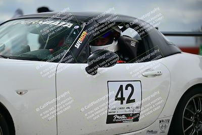 media/Mar-02-2025-Speed Ventures (Sun) [[ad7ca67825]]/Orange Group/Grid/